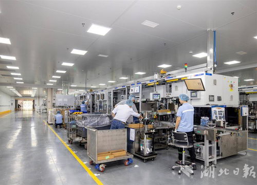 世界500強采埃孚五年三度追投，武漢成其軟件戰略布局核心